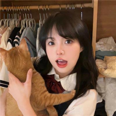 摇滚藏獒蓝色光芒